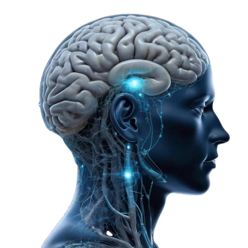 human-head-with-brain-connected-brain_1331124-1083__1_-removebg-preview